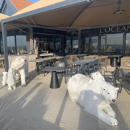 Face Hardelot-Plage